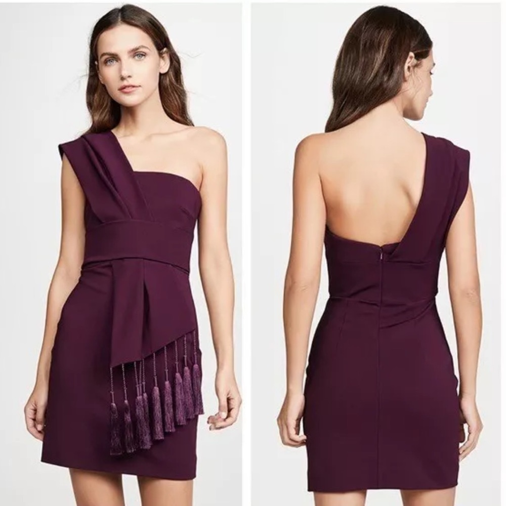 CUSHNIE Scarf Fringe Plum Purple Formal Dress